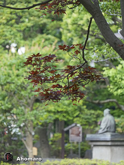 写真00