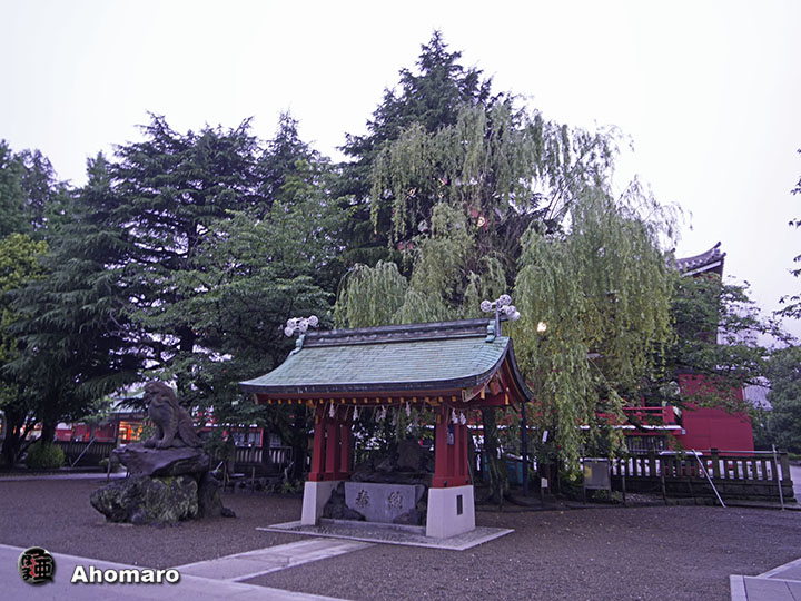 写真00