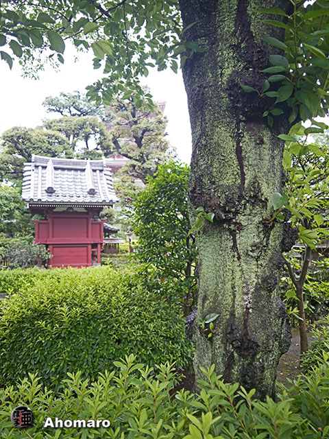 写真00