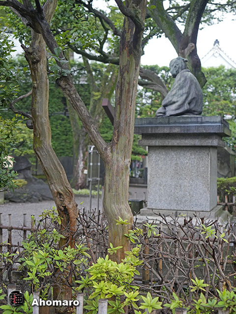 写真00