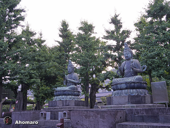 写真00