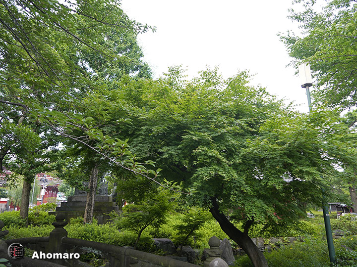 写真00