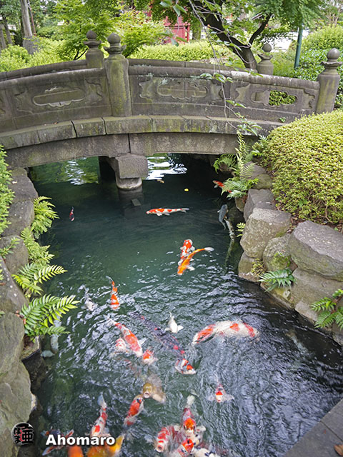 写真00