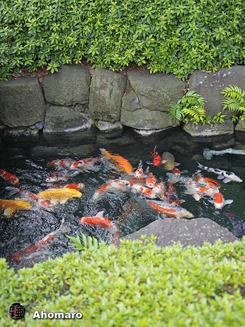 写真00