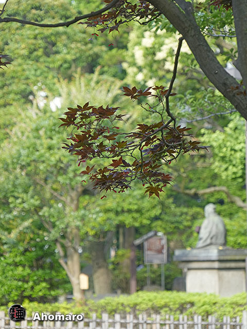 写真00