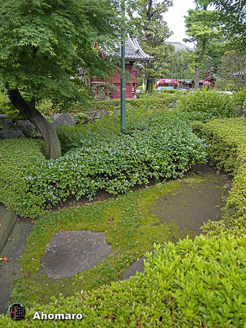 写真00