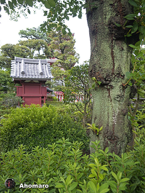 写真00