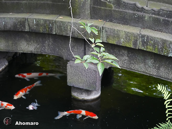 写真00