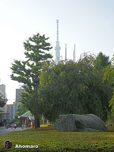 写真00