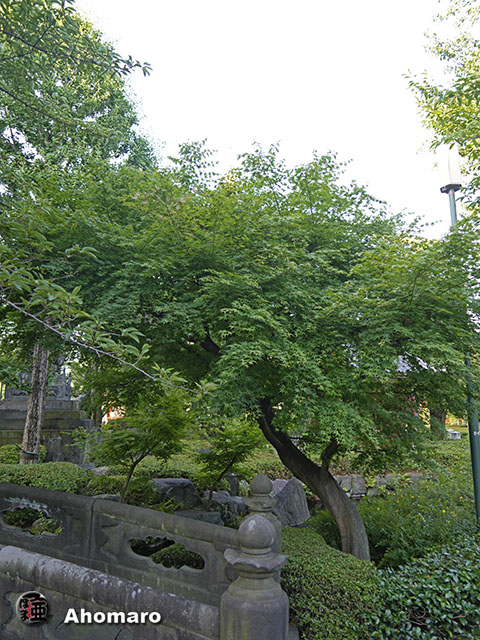 写真00