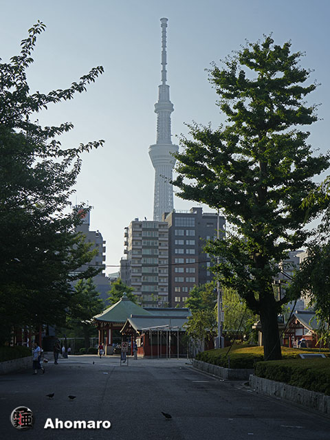 写真00