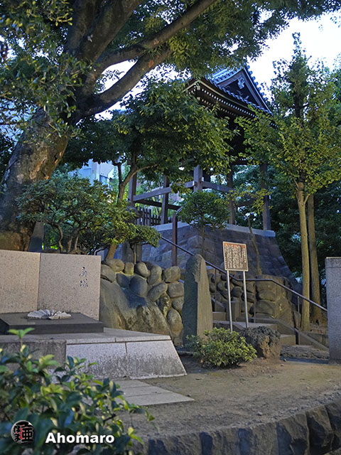 写真00