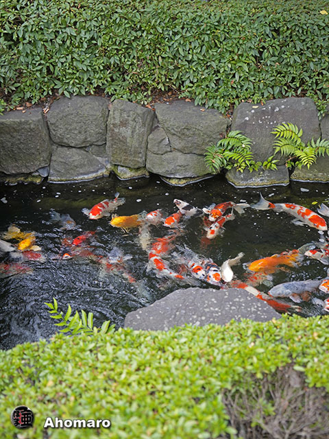 写真00
