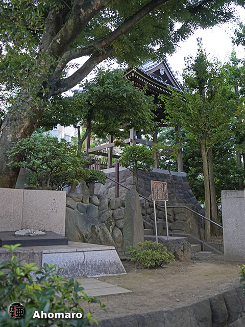 写真00