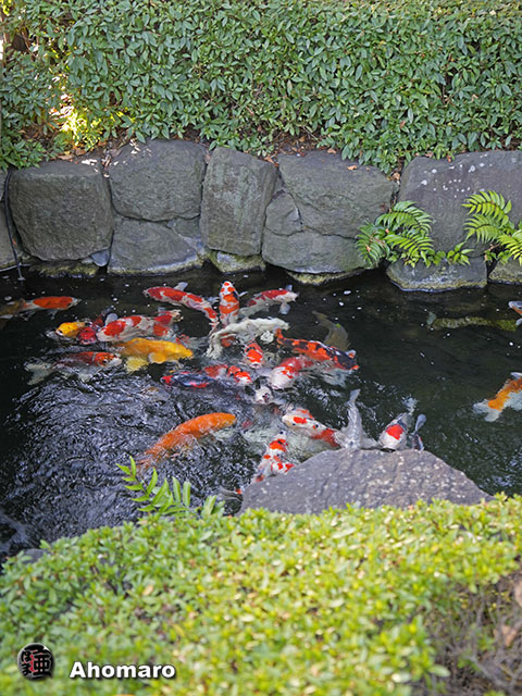 写真00