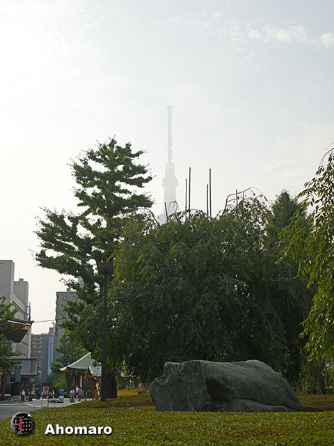 写真00