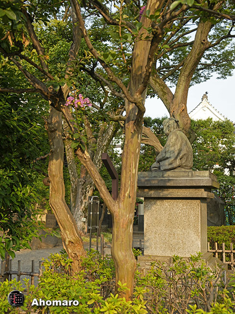 写真00