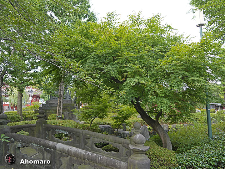 写真00