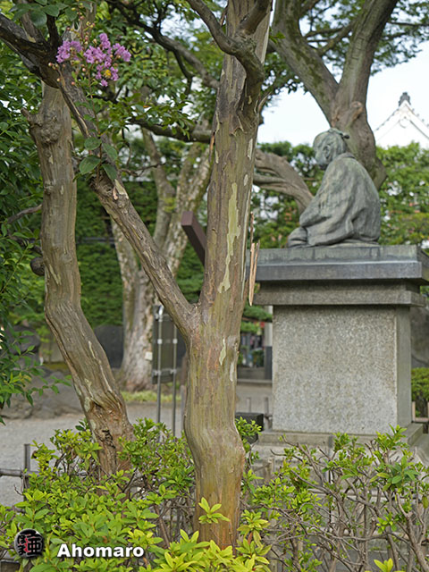 写真00
