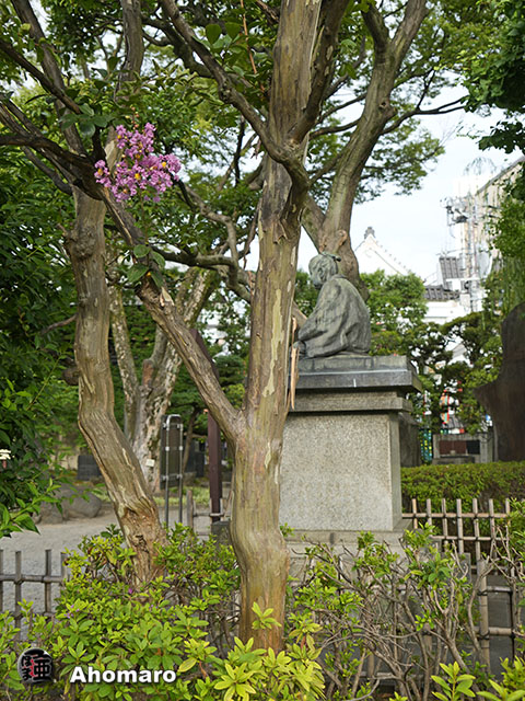 写真00