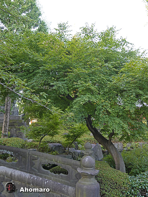 写真00