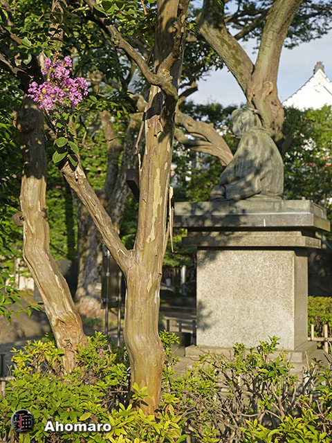 写真00