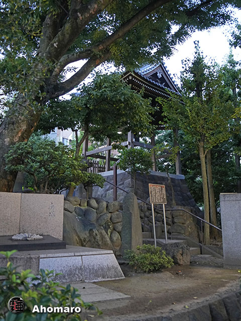 写真00