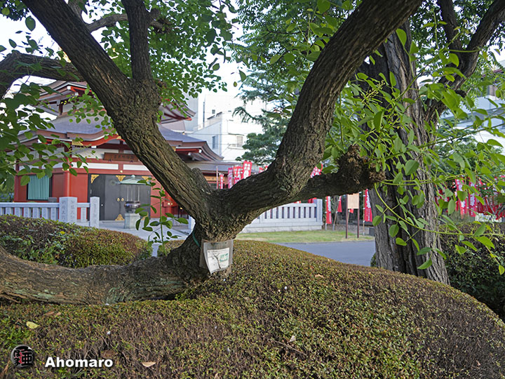 写真00