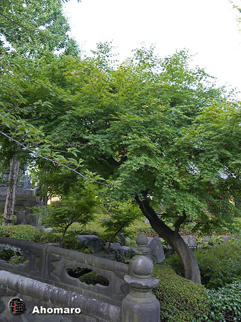 写真00