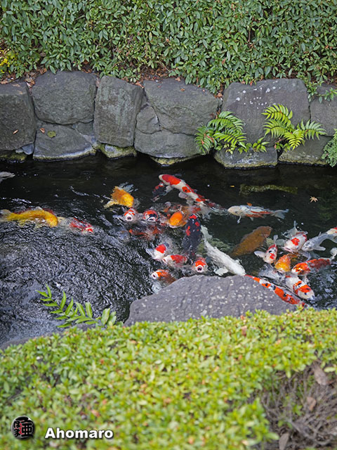 写真00