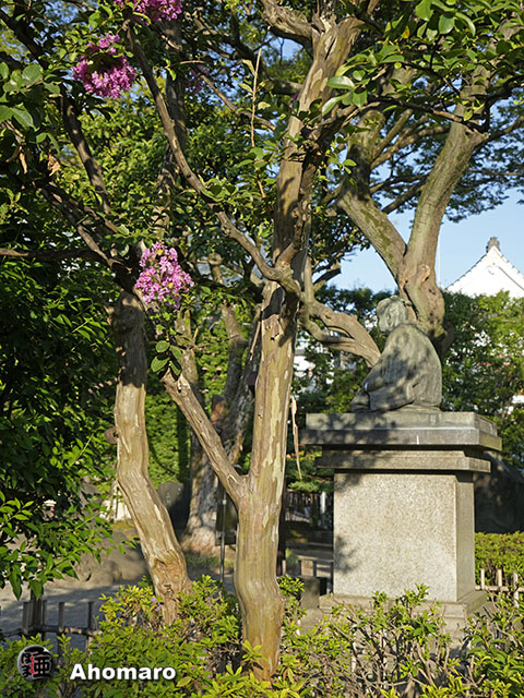 写真00
