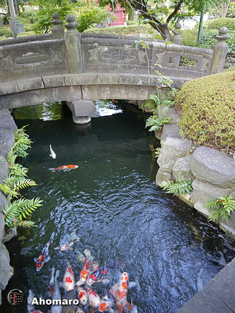 写真00