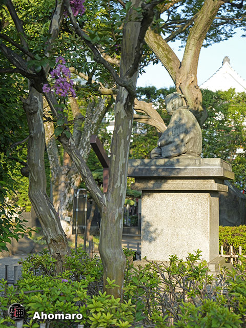 写真00