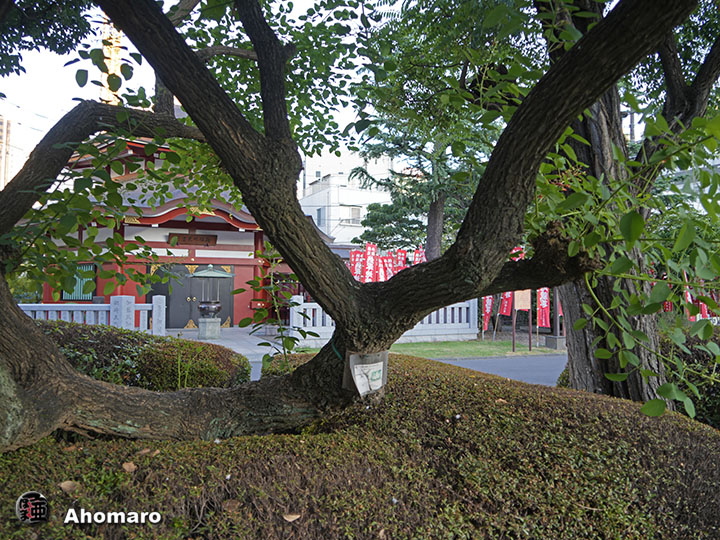 写真00