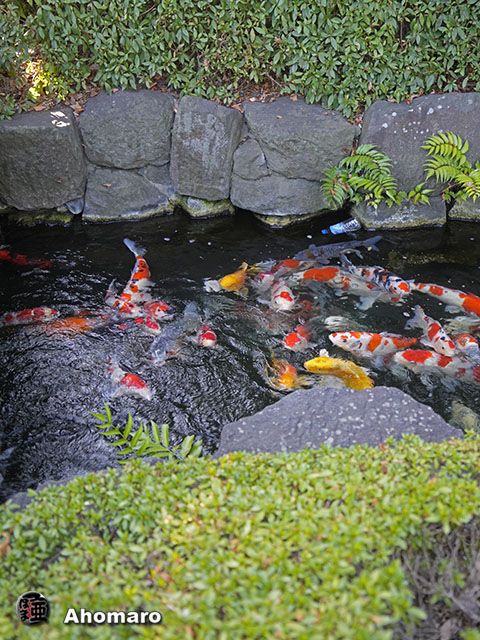 写真00