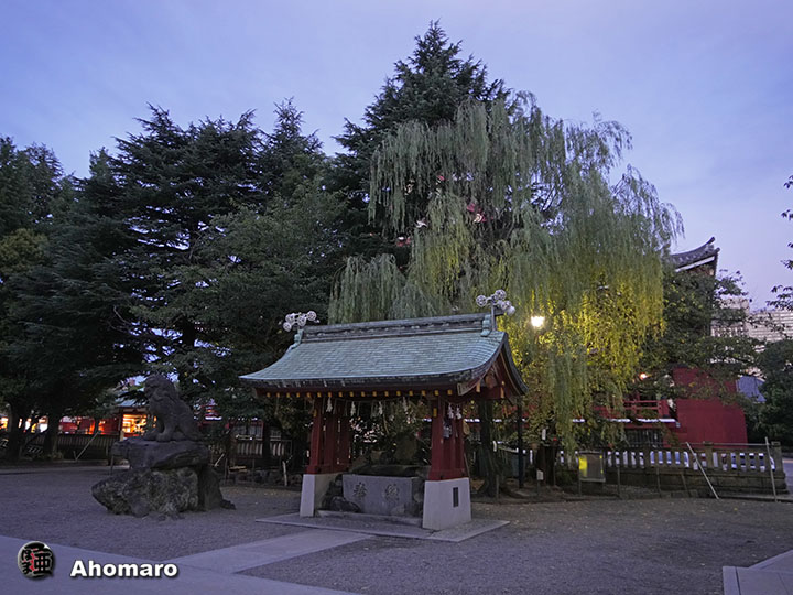 写真00