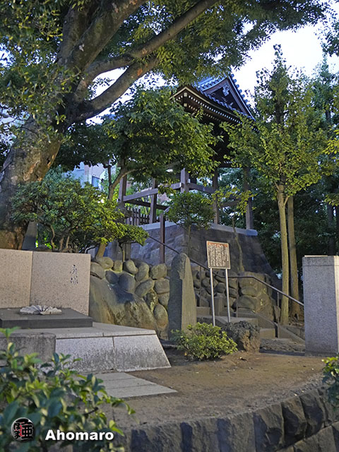 写真00