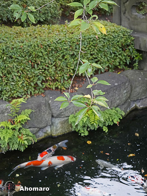 写真00
