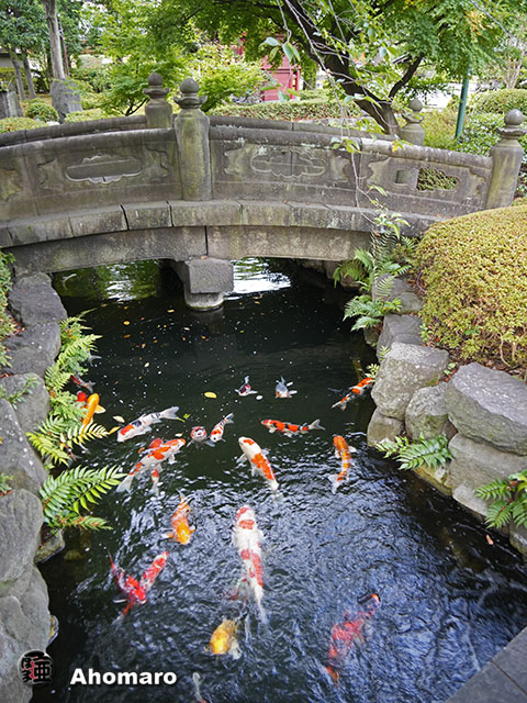 写真00