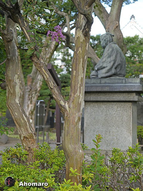 写真00