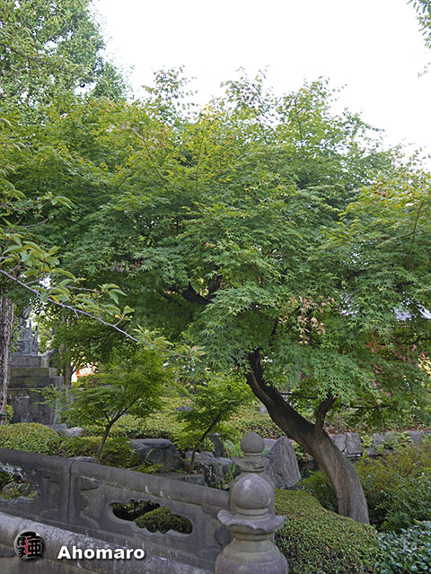 写真00