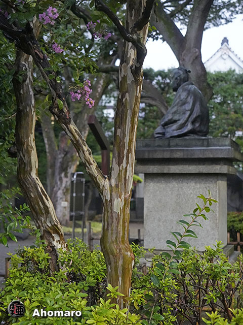 写真00