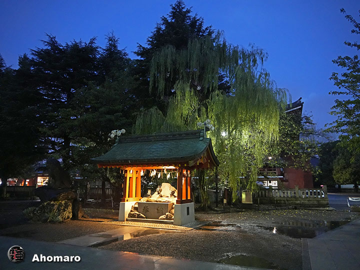 写真00