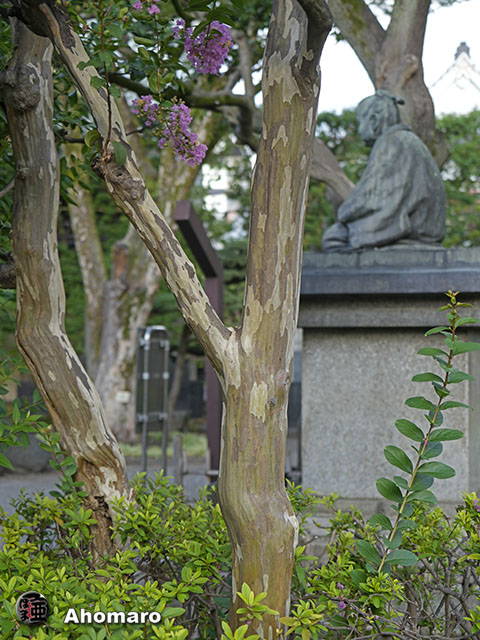 写真00