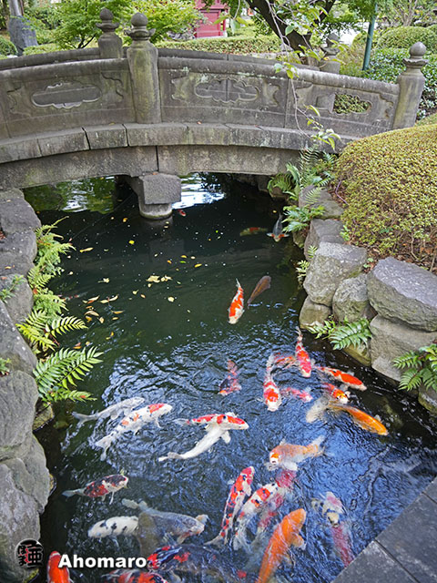 写真00