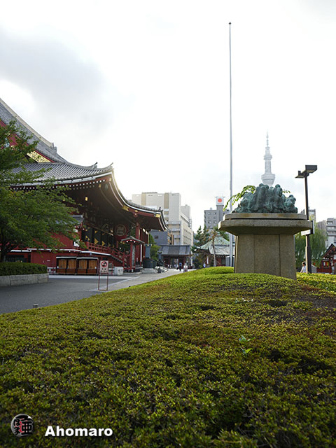 写真00