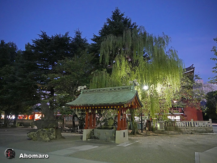 写真00