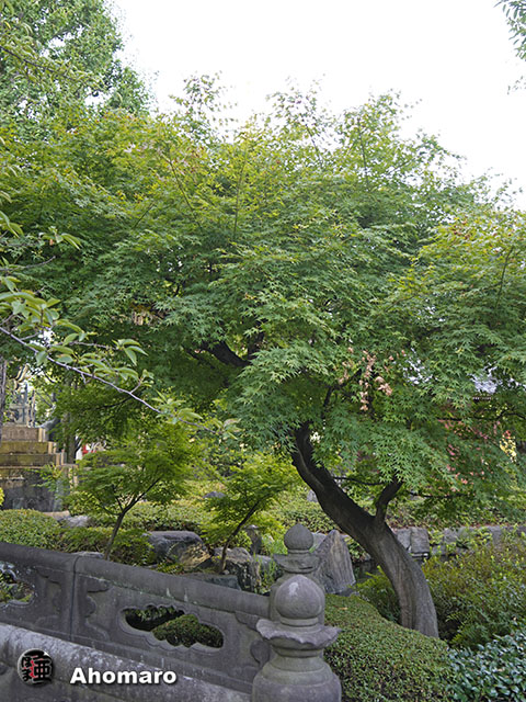 写真00