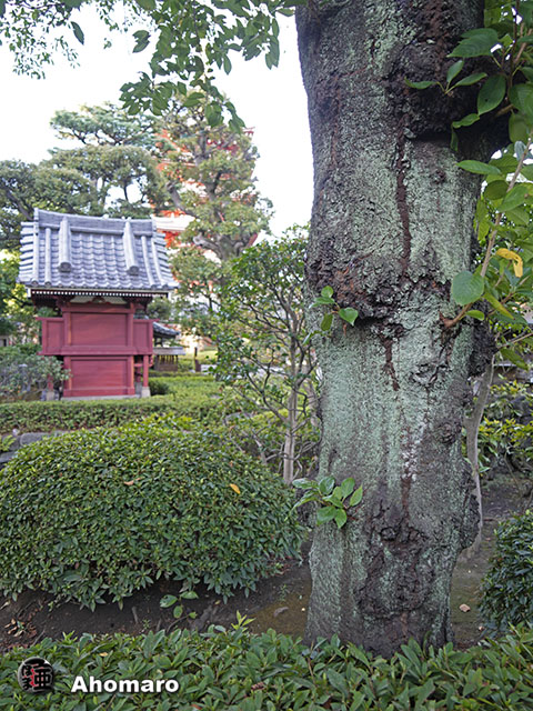 写真00