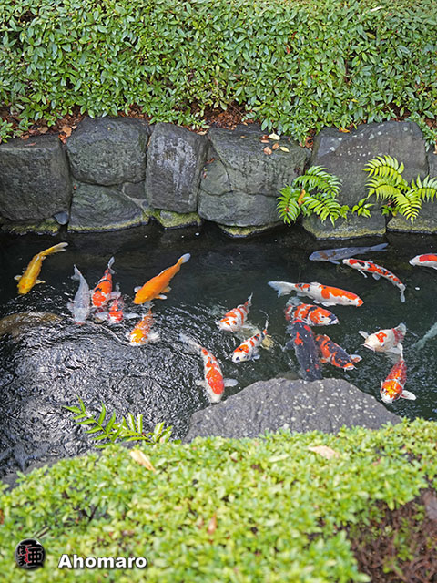 写真00